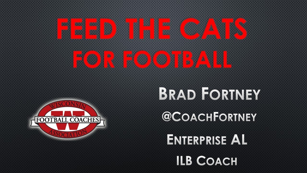 Feed the Cats for Football YouTube