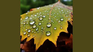 Soothing Droplets Flow Meditatively