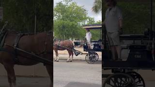 Charleston's most iconic landmarks tour 🌊 || Indian mom in USA