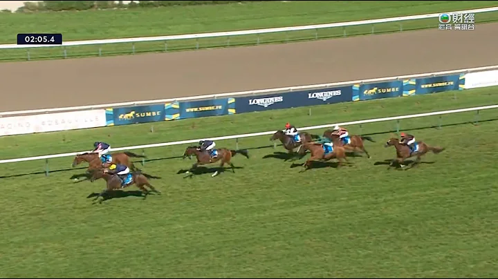 法国尚罗万尼锦标 Prix Jean Romanet 一级赛 G1 2000m 2023-08-20 文采侯妇 Mqse De Sevigne 多维尔马场 Deauville Racecourse - 天天要闻