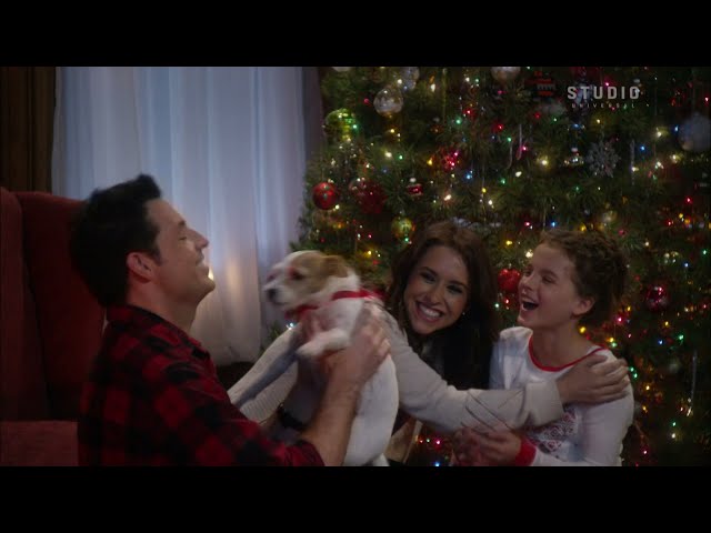 Studio Universal | En diciembre continuamos celebrando la Navidad