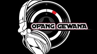 Party Ganas ReMix 2022 - Opang Gewana X Boss Muda Audio