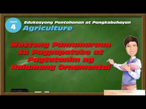 Video: Ang Saxifrage Ni Arends (26 Na Mga Larawan): Pagtatanim At Pag-aalaga, Lumalagong Mga Halaman Sa Bukas Na Lupa Mula Sa Mga Binhi, Paglalarawan Ng Mga Iba't Ibang 