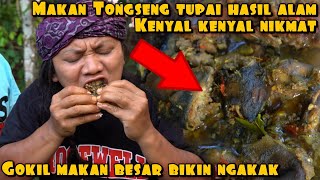 MAKAN BESAR TONGSENG TUPAI HASIL BURUAN BIKIN KETAGIHAN