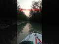 হরিনের খোজে টাইগার ll