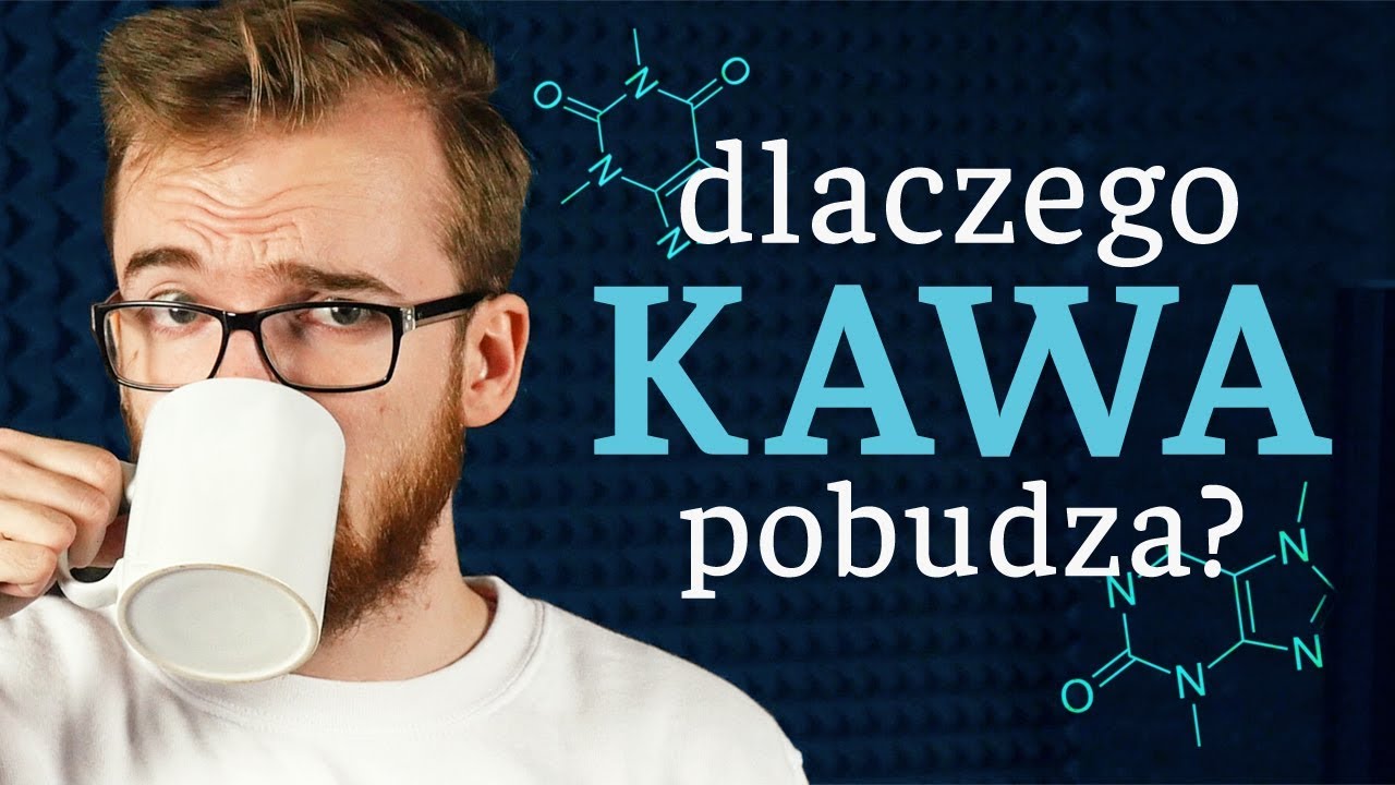 Dlaczego kawa nas POBUDZA? kacper wielusiński gitarzysta