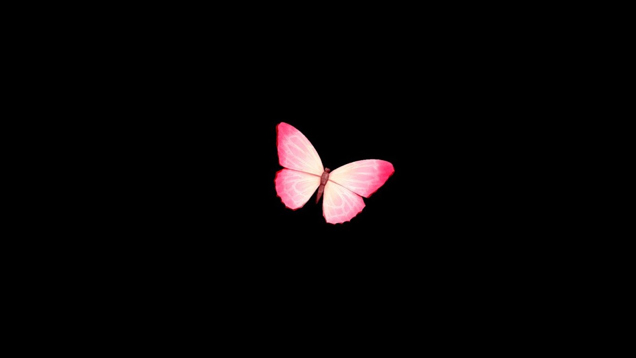 Pink butterfly black screen video editing | flying butterfly black ...