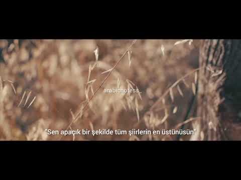       نبيلة معن قل فيا شعرا