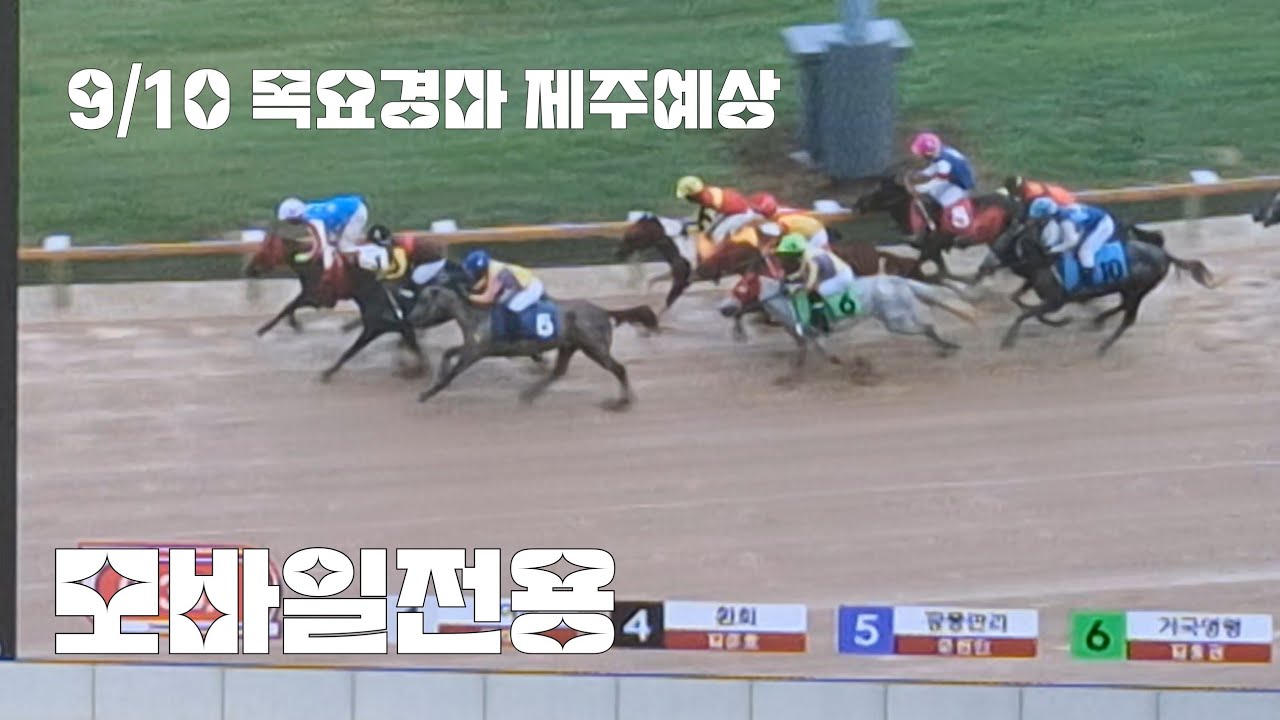 9월10일 목요경마 제주예상 