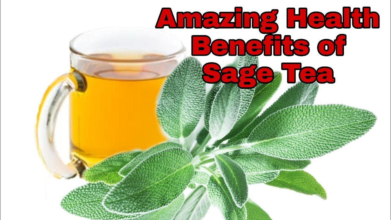 9 Amazing Health Benefits of Sage Tea YouTube