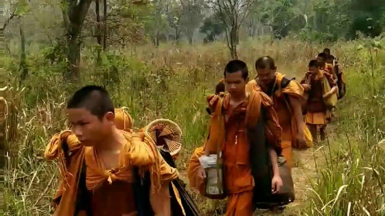 ธุดงค์ในป่าทุ่งใหญ่นเรศวร 2562