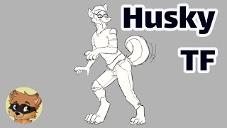 Husky Transformation / Husky TF