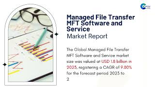 Managed File Transfer MFT Software and Service Market Report 2024 (Global Edition)