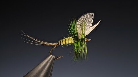 Tying the Yellow mayfly Dun with Barry Ord Clarke