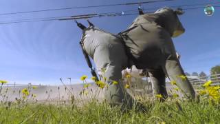 Sun Dance Ranch Sweden