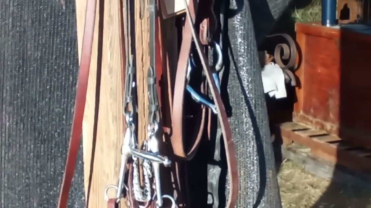 MONTANA HORSE WISDOM  Hang Frozen Bits in the Sun🌞  