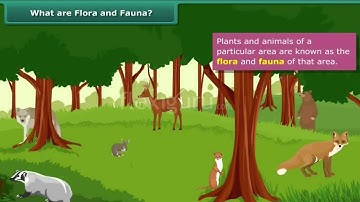 Class 8 Chanakya IIT What are Flora and Fauna