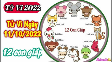 Tử Vi Hàng Ngày 11/10/2022 của 12 Con Giáp ‎‎‎‎#short #tuvihangngay @Luangiai12congiap
