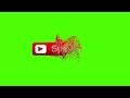 Subscribe Animation Logo On Green screen | No Copyright | IR RECORDS