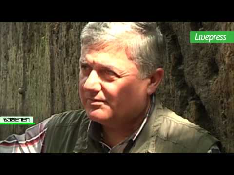 აღმოჩენა