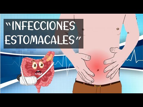 Video: Infección Del Estómago Por Helicobacter En Gatos