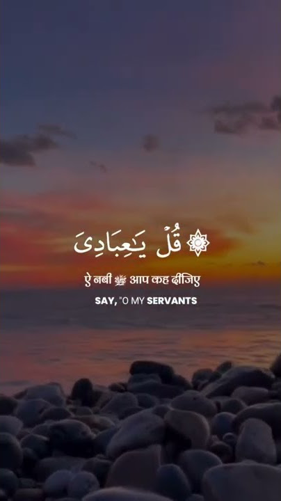 Surah AZ ZUMAR / 53 #beautiful #veryemotional Qari Hamza boudib #quran_short #quran_hindi
