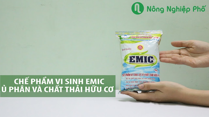 So sánh chế phẩm em với emic năm 2024