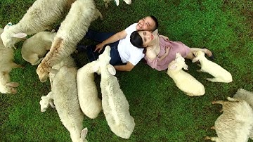 Chụp ảnh cưới flycam Hồ Cốc