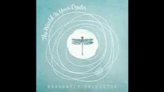 The World Is  Your Oyster - Dragonfly Collector [ Audio]
