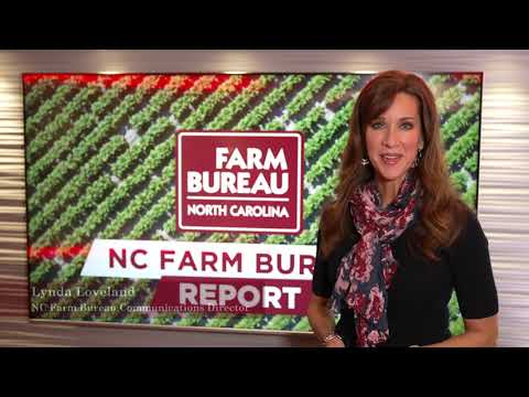 Video: ¿Cómo presento un reclamo ante NC Farm Bureau?