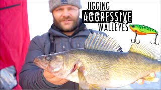 CRUSHING Walleyes Ice Fishing AGGRESSIVE Lure!