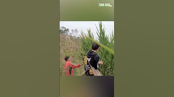 Kỳ tích: Tìm thấy bé trai 6 tuổi đi lạc 5 ngày 4 đêm trong rừng | Tinh Hoa TV