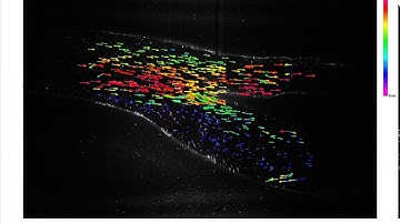 Particle Tracking Velocimetry