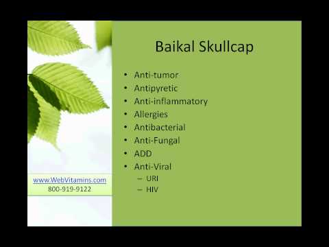 Video: Skullcap (yrtti) - Hyödylliset Ominaisuudet Ja Käyttö, Skullcap, Juurikala, Skullcap Tinktuura, Baikal Skullcap, Tavallinen, Altai
