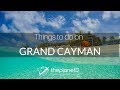 Cayman Islands Travel Vlogs - 11 Things to do on Grand ...