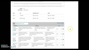 Canvas 101: Using Speedgrader