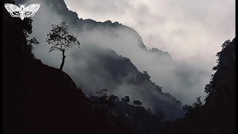 Tao Te Ching by Lao Tzu - Chapter 37 (Male Voice)