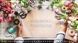 Arizona Backyard Naturalist Episode 1: Verdin
