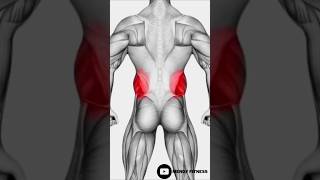 “5 Best Exercises to Lose Love Handles FAST 🔥 (At Home)” #lovehandles #bellyfat #fatloss #absworkout