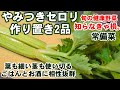 人気【やみつきセロリ2品】毎日食べたい！作り置き常備菜！葉や細い茎も活用！旬のセロリふき味噌と甘酢漬け/漬物/ご飯のお供/簡単副菜レシピ/癌予防/ダイエット