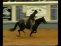 Stacy westfall 2003 nrha futurity freestyle bridleless reining