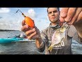 fishing with LIVE PINFISH and popping cork