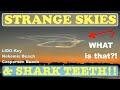 Strange skies  shark teeth  4524 at lido n caspersen