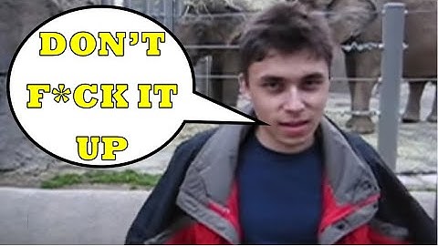 Jawed Responds to Youtube Removing Dislikes