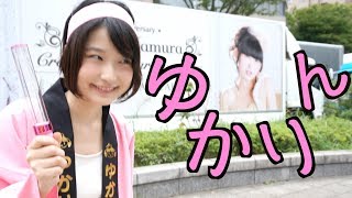 王国民とゆかりんライブ2017に行ってきた！【田村ゆかり】