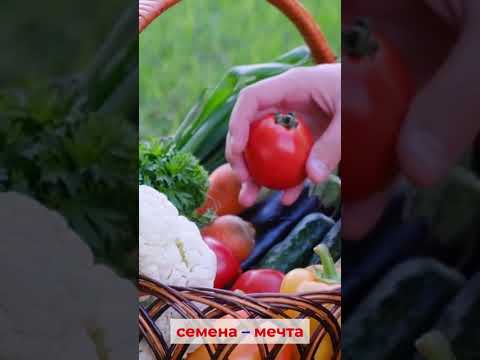 🔥 Эти семена