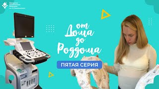 «ОТ ДОМА ДО РОДДОМА» 5 серия / УЗИ почек и очередное занятие с Психологом