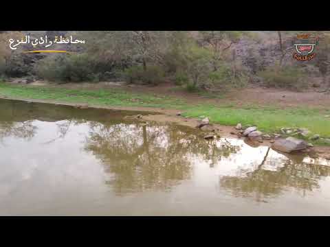 تصوير جوي للحفنه بوادي المقيطع شرق الفقير بمحافظة وادي الفرع اليوم الثلاثاء الموافق ٢٠٢٢ ٩ ١٣م