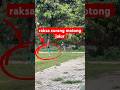 raksa tetep aja kalau walapun curang