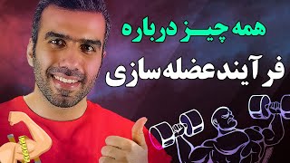 همه چیز در مورد فرآیند عضله سازی | آیا با زدن شکم زیاد، سیکس پک درست میشه؟